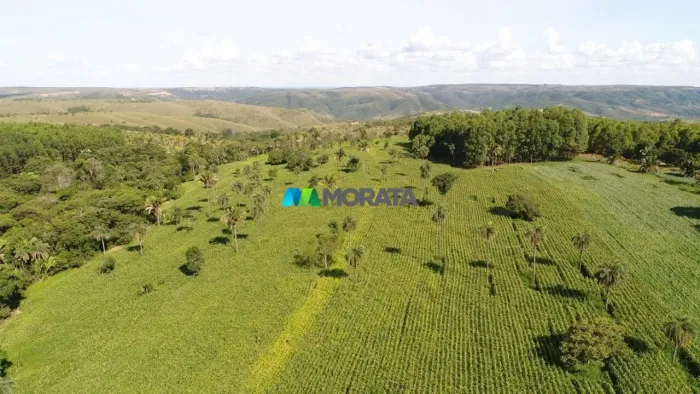 FAZENDA À VENDA - 468 HECTARES - BIQUINHAS (MG)