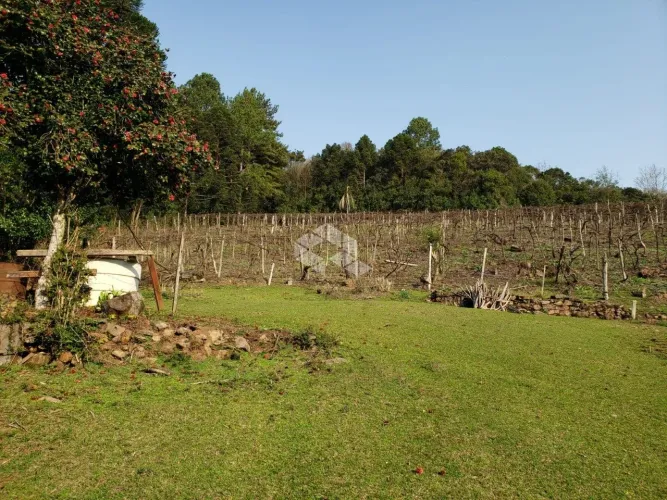 Vendo chácara com 2 casa e muitas árvores frutíferas na Parada Crístal em Caxias do Sul