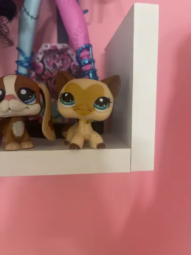 lps gatinho