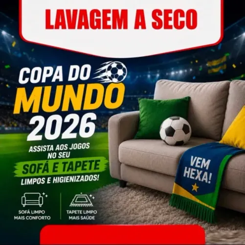Lavagem a seco - serviço profissional