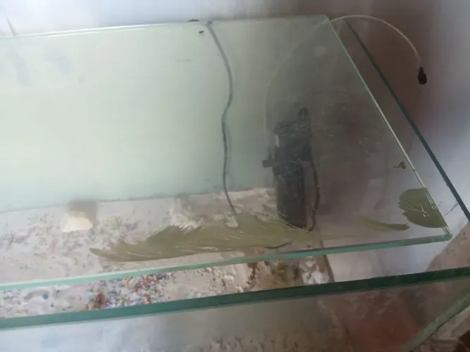 Vende-se aquário R$100 ,00
