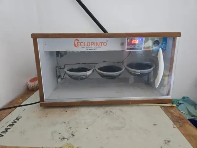 chocadeira