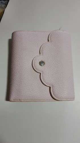 Planner carteira 