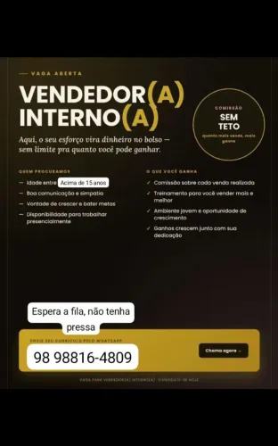 Vendedor(a) interno