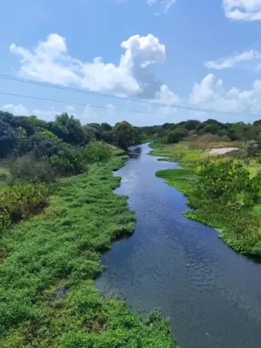 fazenda com 253.4 hectares próximo a punau na região de rio do fogo