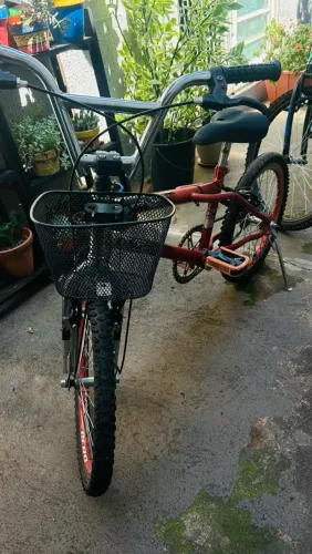 Bicicleta Vermelha Aro 20 (DNZ / Vzan)