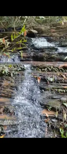 Sitio mo precinho!!!Água de rio,Pastagem ,rede de energia dentro do terreno!!!
