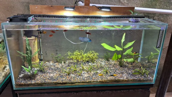 Aquario 170 litros completo 