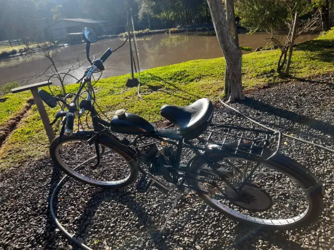 Bicicleta motorizada monark 80cc