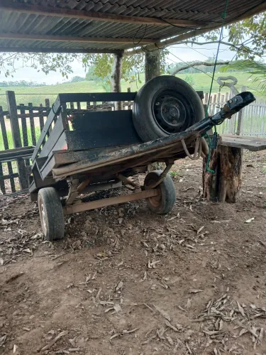 Vendo carochinha 4.000