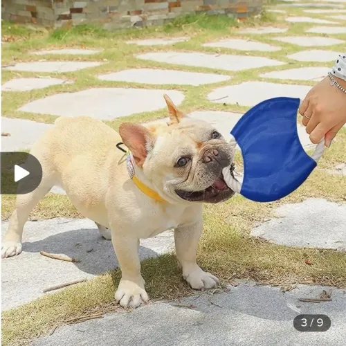 Frisbee para Cachorro