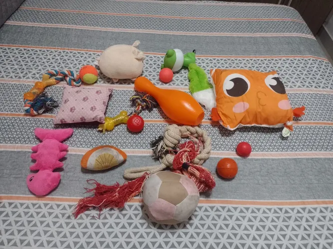 Brinquedos para pet 