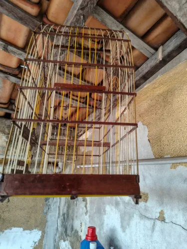 Gaiola de passarinhos