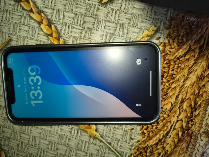 iPhone XR na carcaça do 17 pró