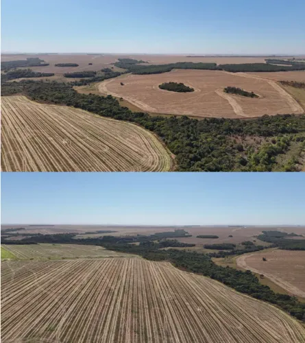 Imóvel rural no Zona Rural em Rio Verde