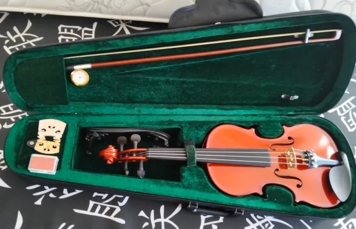 Violino Michael