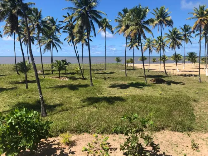 Casa/área para venda em Barra de Serinhaem, Pernambuco.