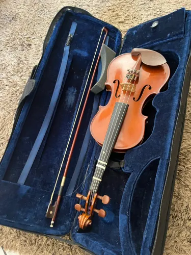 Violino estrumento
