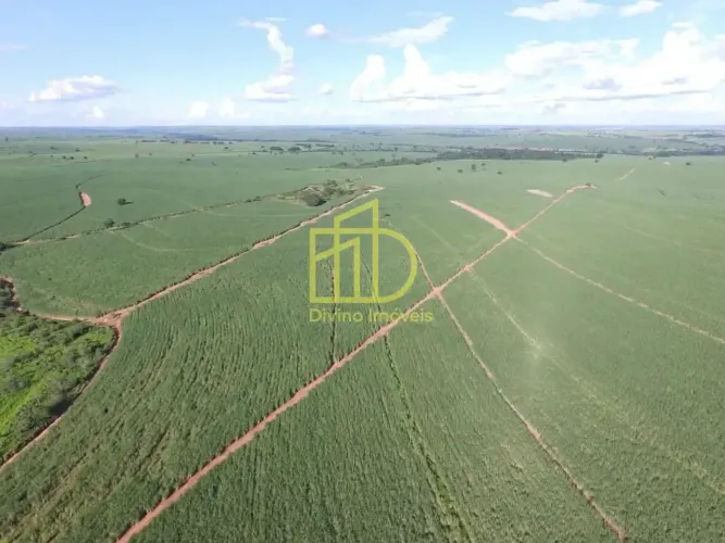 Fazenda à venda, 263 Alqueires por R$ 51.000.000 - Zona Rural - Mirandópolis/SP