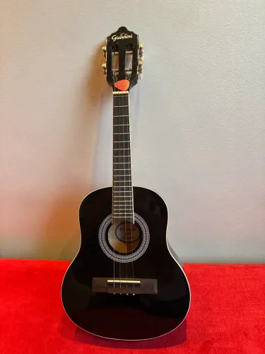 Cavaco Gianini Acústico