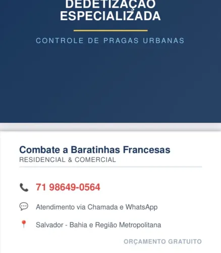 Detetização de Baratinhas Francesas