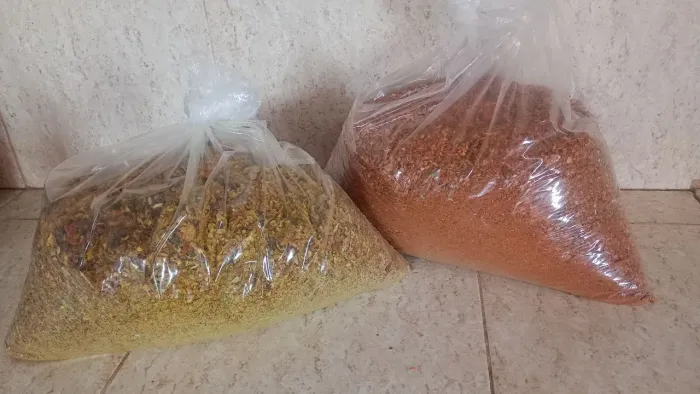 Tempero conquista sogra e pega marido