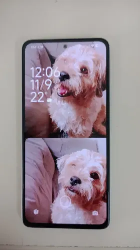 Celular