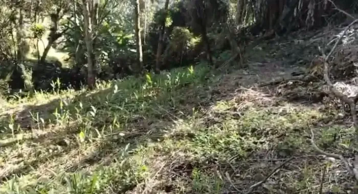 Terreno 1.240m² por 69 mil