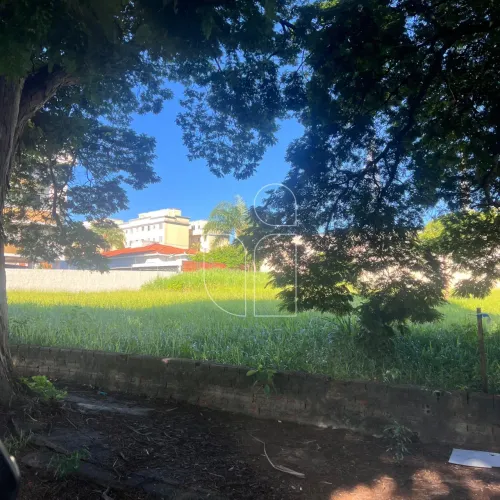 Terreno Residencial em Senador Salgado Filho - Marília