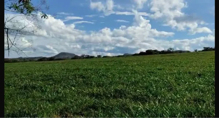 Fazenda com 709 hectares e 10 km de margem de rio