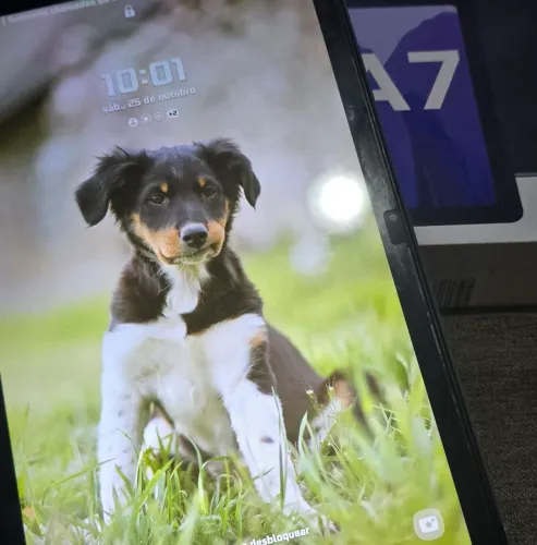 Samsung Tab A7 64GB 11 polegadas e entrada de Chip de Celular + Capa original