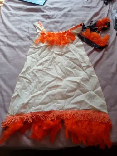 Vestido de Fantasia Infantil - Tamanho M carnaval india