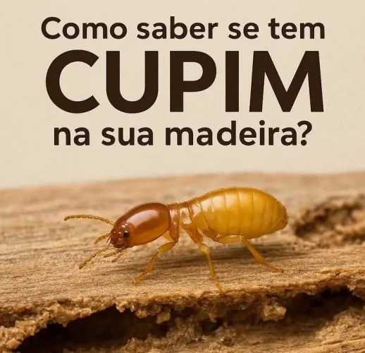 Dedertizacao geral