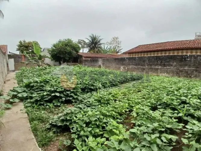 Terreno à venda, 500 m² por R$ 500.000 - Jardim Brasil - Caraguatatuba/SP