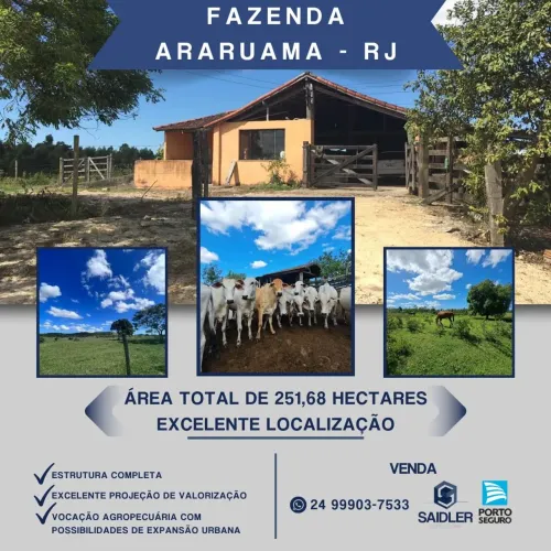 Fazenda em Araruama-RJ, 52 alqueires, 251,68 hectares.