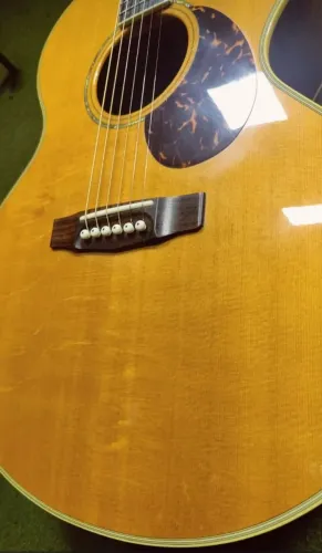 Violão Cort NTL-50 FX