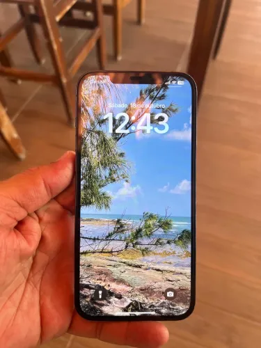 iPhone 12 Pro Max 512 GB