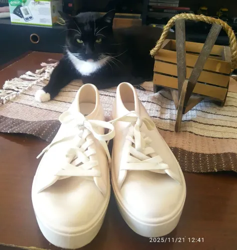Tênis branco casual Melissa 