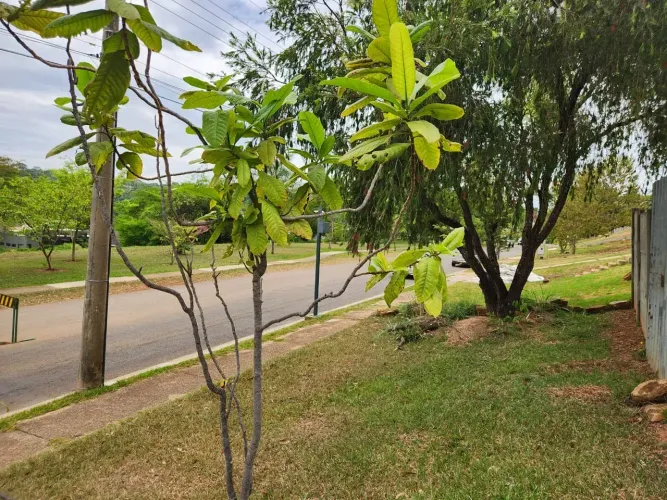 Lote no Condomínio Residencial aldeia do Vale