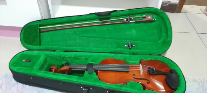 Violino Giannini 