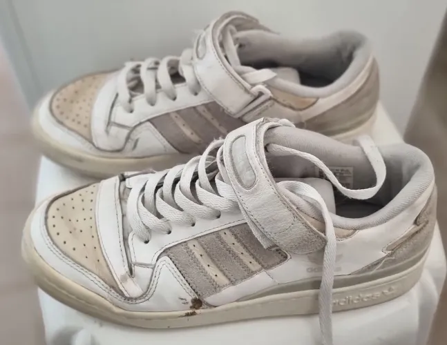 Adidas forum law