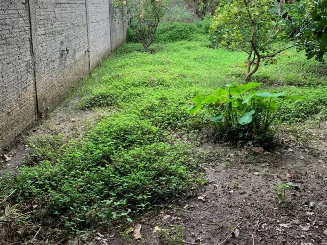 Terreno - Jardim Marister - Jacareí - 324m².
