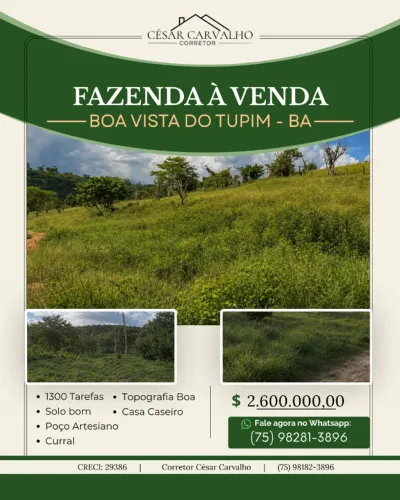 FAZENDA EM BOA VISTA DO TUPIM - 1300 TAREFAS