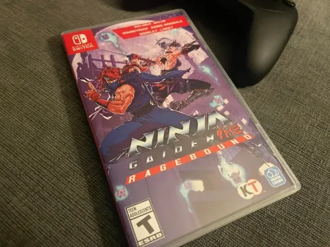 Ninja Gaiden Ragebound Nintendo Switch Usado