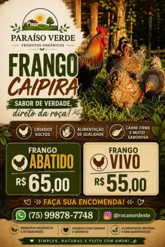 Galinhas e galos caipiras