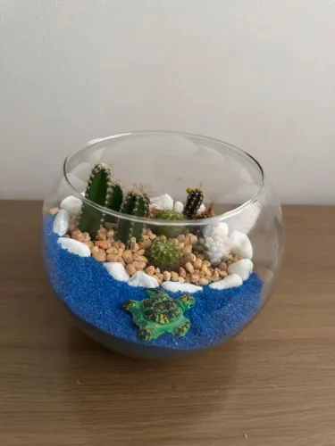 Terrário de Vidro 