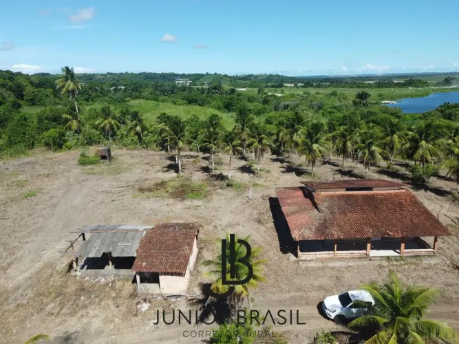 Propriedade Rural ideal para agricultura medindo 30 hectares - Alhandra - PB
