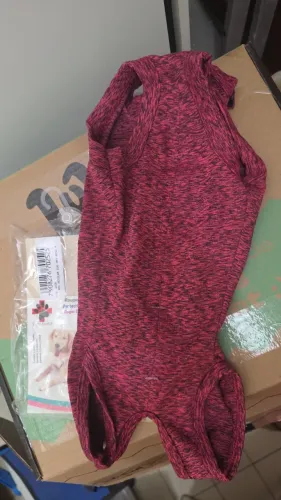 roupa castração pet