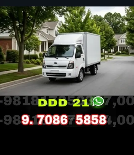 Frete e Mudanças com Transporte Organizado
