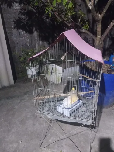 Gaiola para pássaros